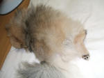DSCF1049.JPG