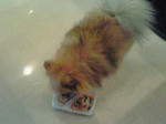 200808231348000.jpg