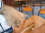 DSCF0018.JPG