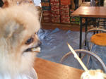 DSCF0019.JPG