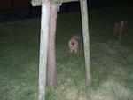 DSCF0023.JPG