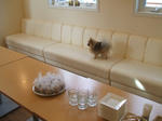 DSCF0027.JPG