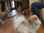 DSCF0039.JPG