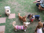 DSCF0044.JPG