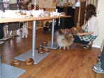 DSCF0048.JPG