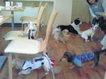 200809301358000.jpg