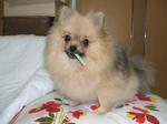 DSCF0067.JPG