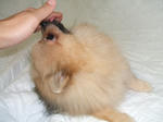 DSCF0069.JPG