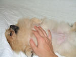DSCF0071.JPG