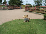 DSCF0074.JPG