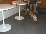 DSCF0088.JPG
