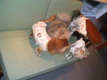 DSCF0093.JPG