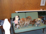 DSCF0097.JPG