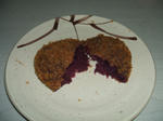 DSCF0108.JPG