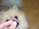 DSCF0109.JPG