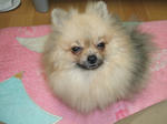 DSCF0110.JPG