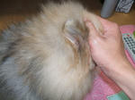 DSCF0111.JPG