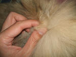 DSCF0114.JPG