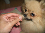 DSCF0115.JPG