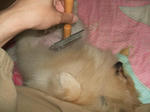 DSCF0119.JPG