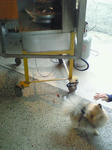 200811091330000.jpg