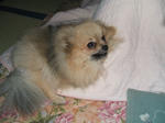 DSCF0239.JPG