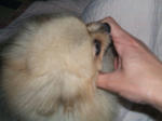 DSCF0240.JPG