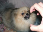 DSCF0241.JPG