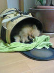 200811122327000.jpg