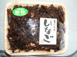 DSCF0245.JPG