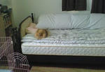200812190810000.jpg
