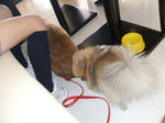 DSCF0305.JPG