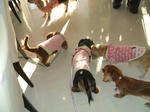 DSCF0312.JPG