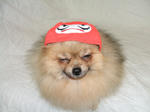 DSCF0328.JPG