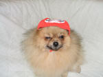 DSCF0329.JPG