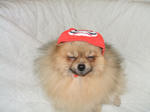 DSCF0330.JPG