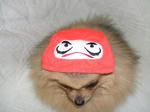 DSCF0333.JPG