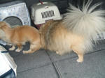 DSCF0320.JPG