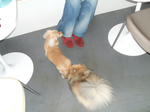 DSCF0326.JPG