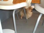 DSCF0367.JPG