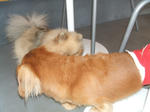 DSCF0369.JPG