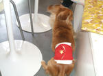 DSCF0371.JPG