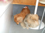 DSCF0372.JPG