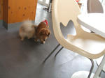 DSCF0374.JPG