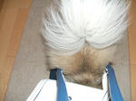DSCF0389.JPG