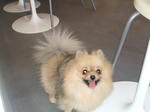 DSCF0391.JPG