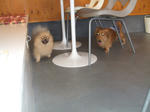 DSCF0392.JPG