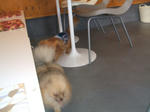 DSCF0393.JPG