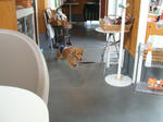 DSCF0394.JPG