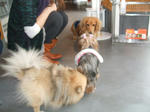 DSCF0396.JPG